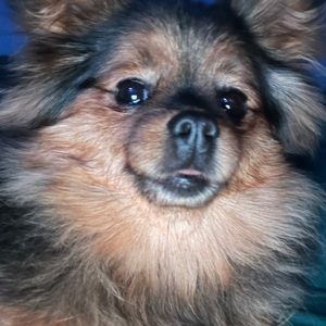 Meet your Posher, Stasia